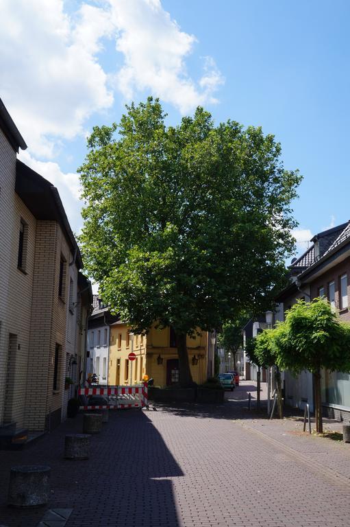 Ferienwohnung Haagedoernchen Неттеталь Екстер'єр фото